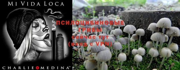 ALPHA PVP Козельск